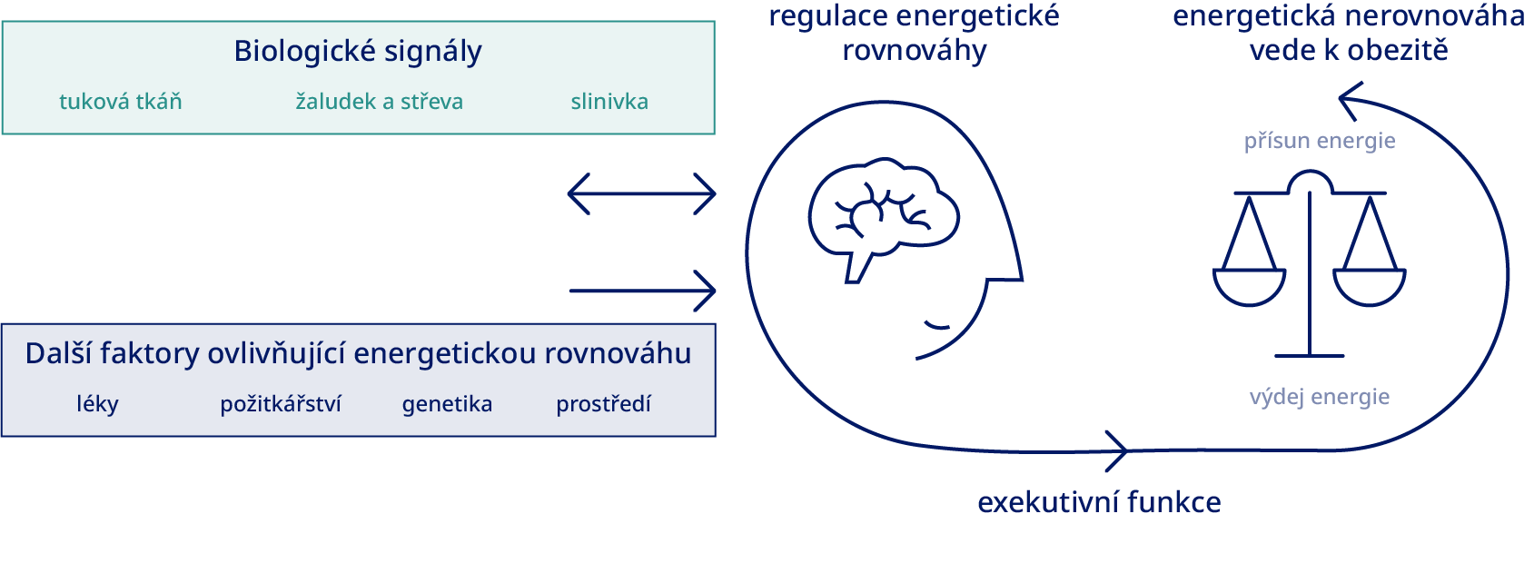 v-e-o-v-deck-podstat-patofyziologie-obezity