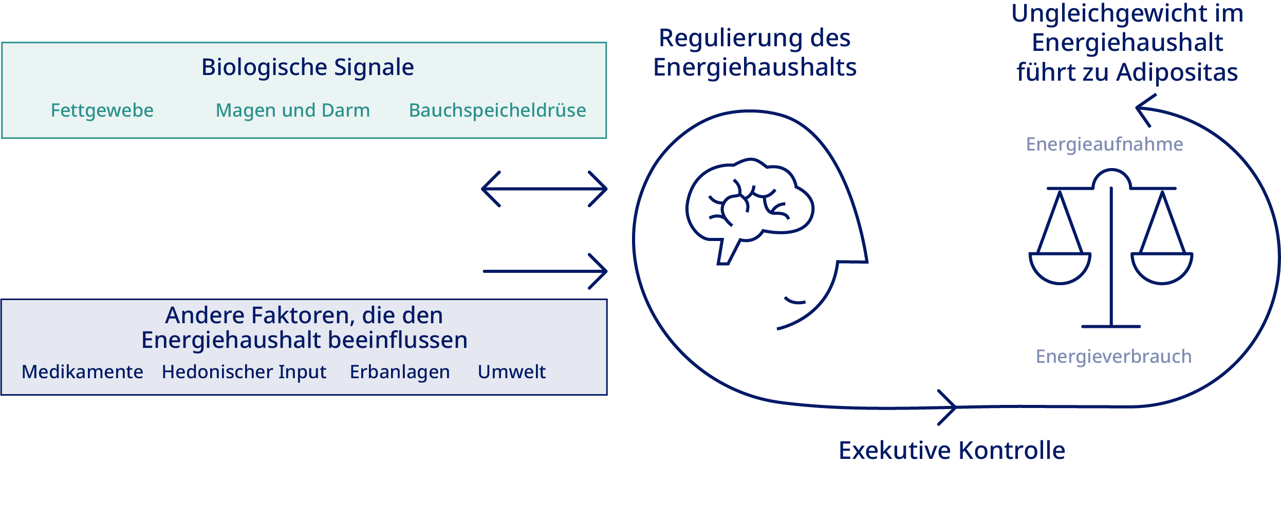 alles-ber-die-wissenschaft-hinter-der-pathophysiologie-der-adipositas