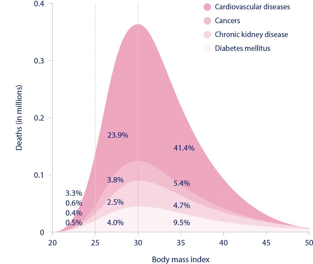 BMI is Outdated: Obese People May Be More at Risk of Heart Attack, Stroke  or Early Death Than They Think - Finds New Study